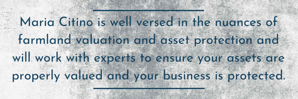 Asset Division in Divorce | Citino Family Law LLC | Maria Citino